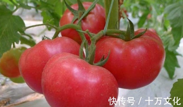 抗衰|聪明的女性,会把4种食物当“零食”,减肥瘦身,美白抗衰