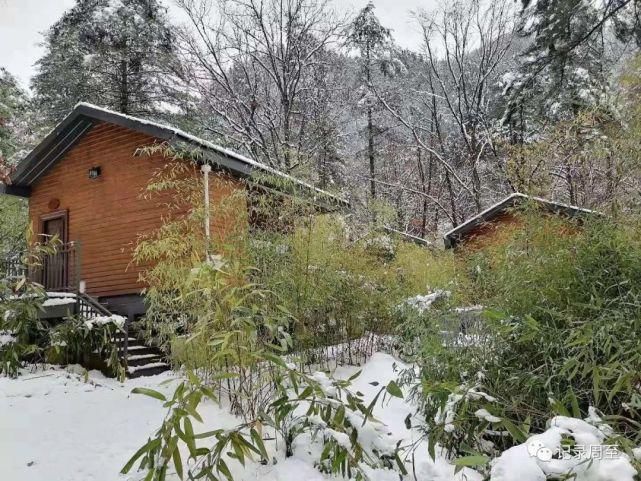 赏雪好去处！陕西黑河国家森林公园雪景和森林并存，风景美如画