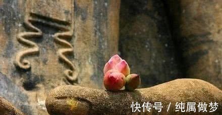 慈悲#“一念放下, 万般自在” 佛祖还有一句话没有说!