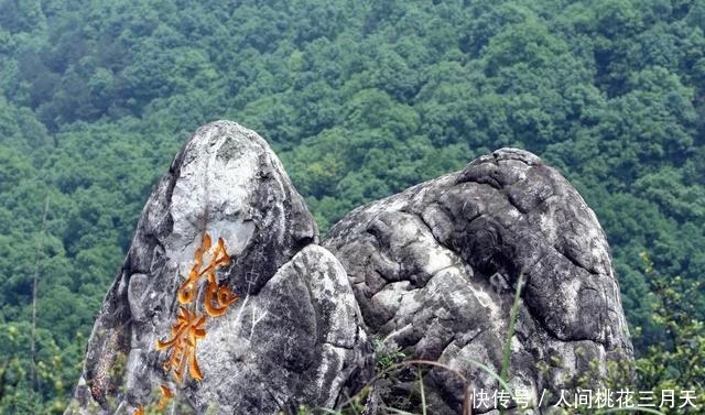 龙脊山|重庆“最值得”去的景点，不会出现人挤人情况，适合喜欢寂静的你