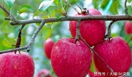 冬天不妨堅(jiān)持吃3種食物,補(bǔ)血活血、延緩衰老,早吃早好!