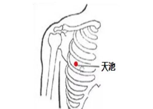  心肺|这是一篇救命的文章！中医“心肺复苏”七大穴位！无数人受益！