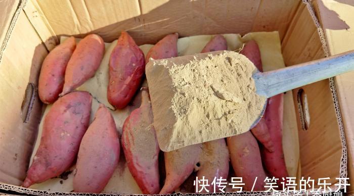 手软|冬天碰到此食材,我从不手软,一买就是20斤,营养极高,别不懂吃