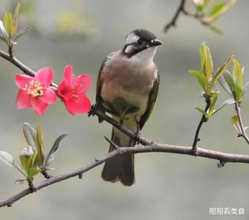 让孩子做好这两点，决胜中考和高考