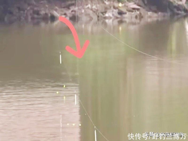 这种“流氓”钓法,只因“杀伤力”较大,所以被很多钓友唾弃