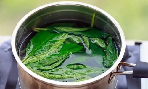 春天女性多吃此菜,淡化皱纹,血管畅通无阻,子宫干净,肌肤细腻