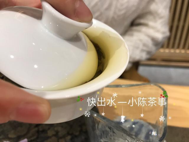春寿眉$从白茶小白到“略懂”白茶,需要知道哪些基础知识请记牢!