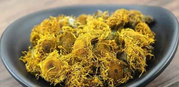 农村“憋屈”的野草,明明药用价值很高,却常被误认为是菊花