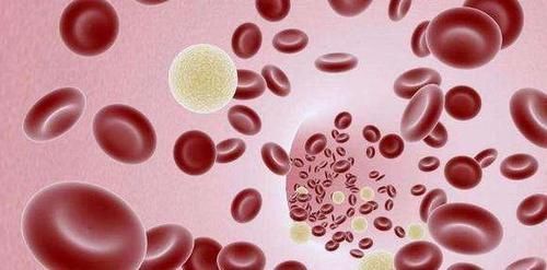 垃圾|血液垃圾的“清道夫”来了，吃的越多血管越干净，血栓不来扰