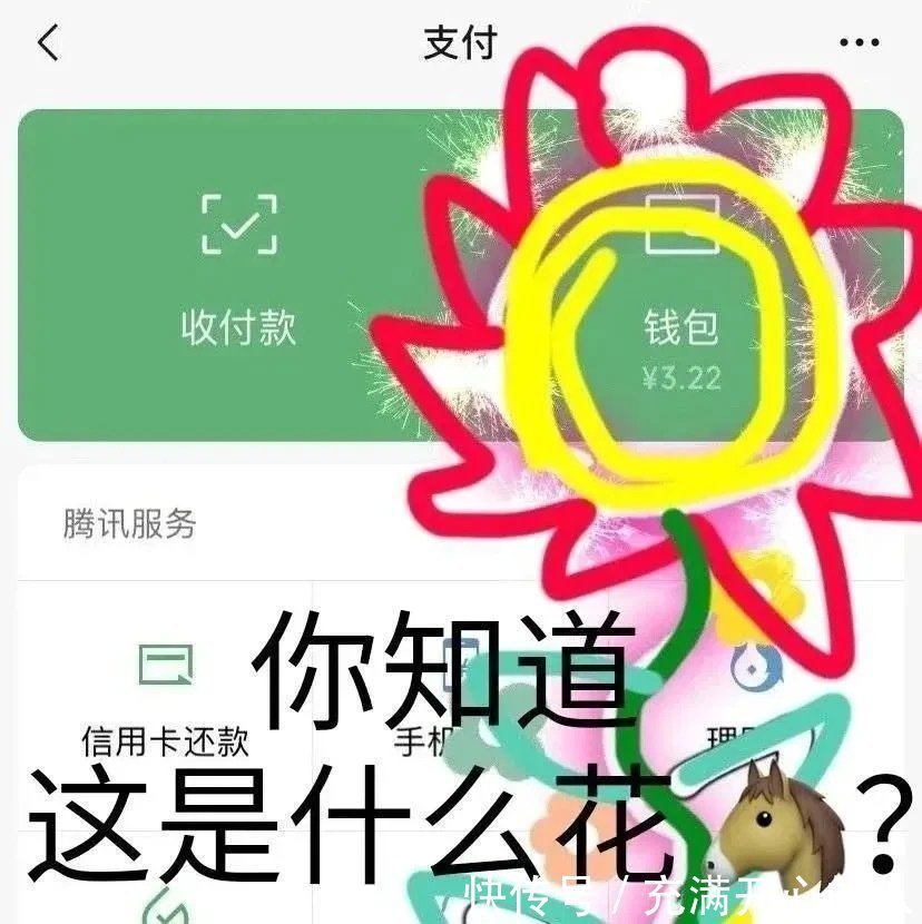 |搞笑表情包来啦