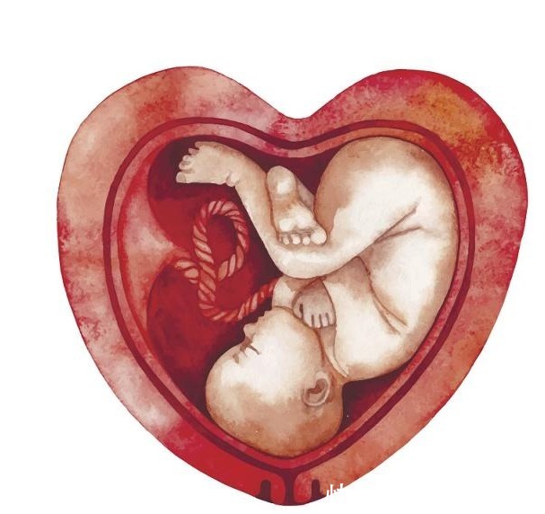 杀菌|霉菌“喜欢”3类人记住喝3杯水,杀菌排毒,子宫光滑,无炎症