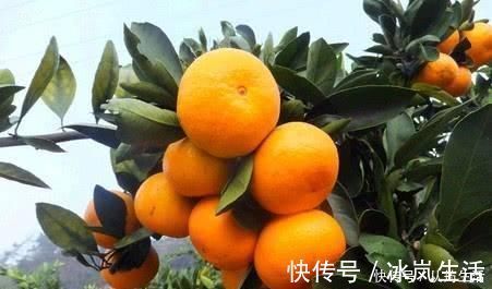 降压药|降压药，空腹吃还是餐后吃心血管专家给你一次说清楚