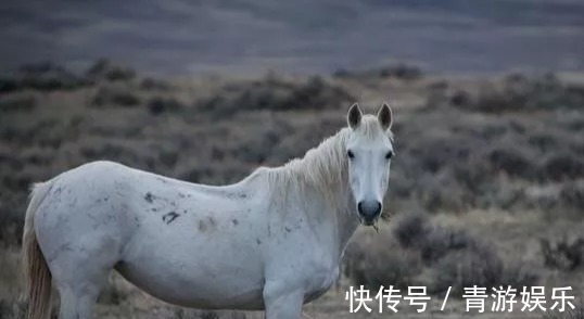 月老|90年属马人和谁在一起最配月老搭线错不了！