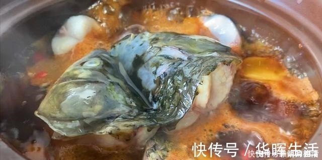 草鱼|它是淡水鱼中的上品，由于刺多被嫌弃，孩子常吃头脑聪明，视力好