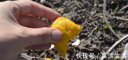 实用|你家有吃剩下的橘子皮吗?放在卫生间特别实用,一年能省不少钱