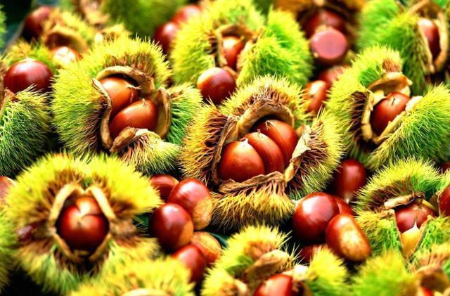 板栗营养好吃，有什么功效和作用，板栗泡酒怎么制作