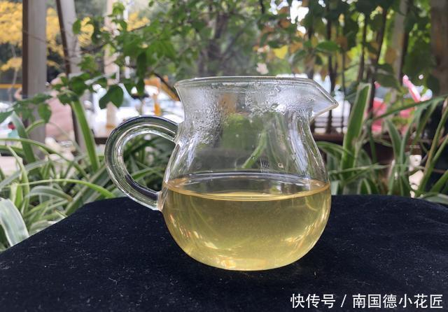  春茶|《老徐鉴茶》389期：凤庆三岔河头春茶品鉴报告（云南茶友寄）