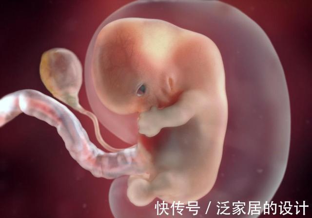 宝宝|孕早期有啥注意事项？孕5~8周，宝宝这些变动，暗示家长要多上心