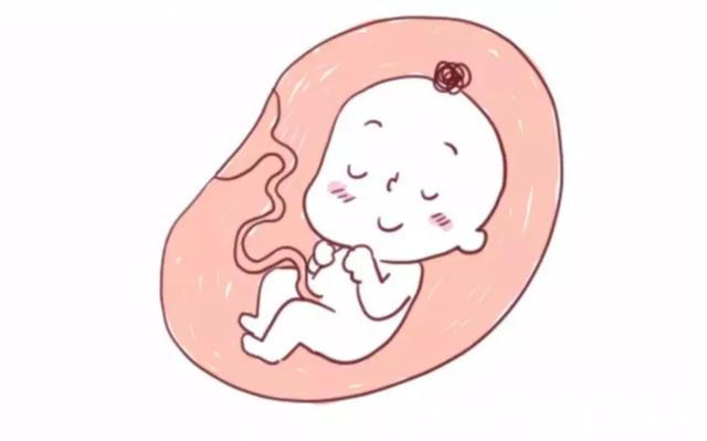 胎宝|怀孕期间,胎儿的屎尿排哪了知道答案后,孕妈哭笑不得