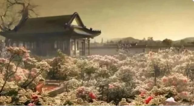 “圆明园”被毁前照片在英国流出,犹如仙境,都能用来当屏保!