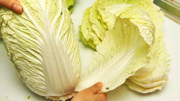 肝炎|普通三种“蔬菜”炒着吃,肝一天比一天干净,肝炎、肝硬化绕道走