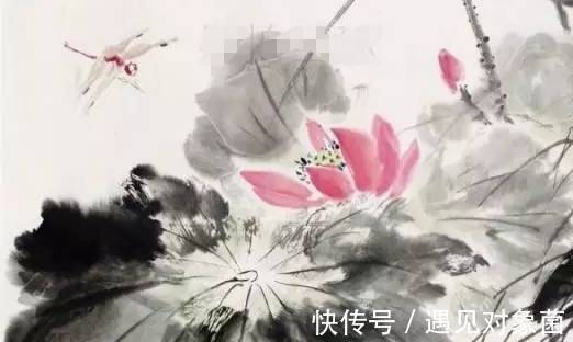 花骨朵儿@王雪涛笔下的荷花