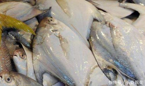 买鱼时,优先选择这6种鱼,肉多刺少营养也高,贵也要多给孩子吃