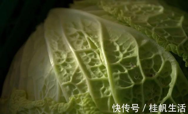 赵琰|萝卜白菜靠边，几毛钱一斤的它才是菜王！防癌、养胃、清血管的万能菜