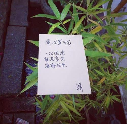 小伙因写“废话”诗走红，有人说他辱没艺术，有人却将他捧上神坛
