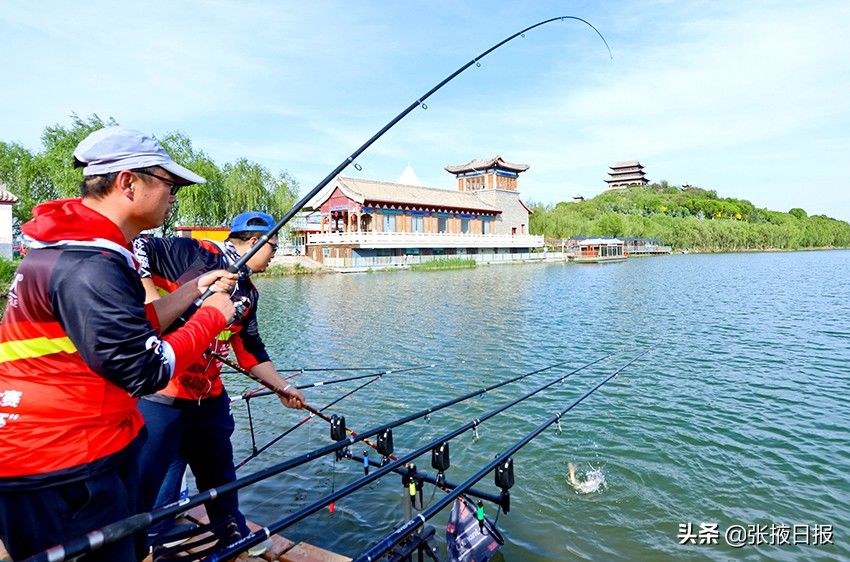 垂钓|“鱼”你有约！中华垂钓大赛在临泽鸣金开赛