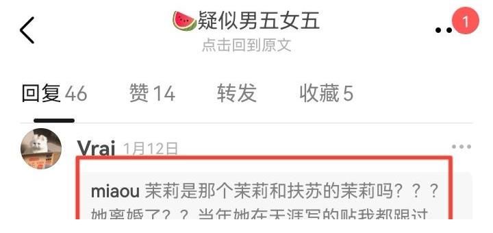 这档恋综真精彩!女四是单亲妈妈,女五带着娃,男一孩子会打酱油