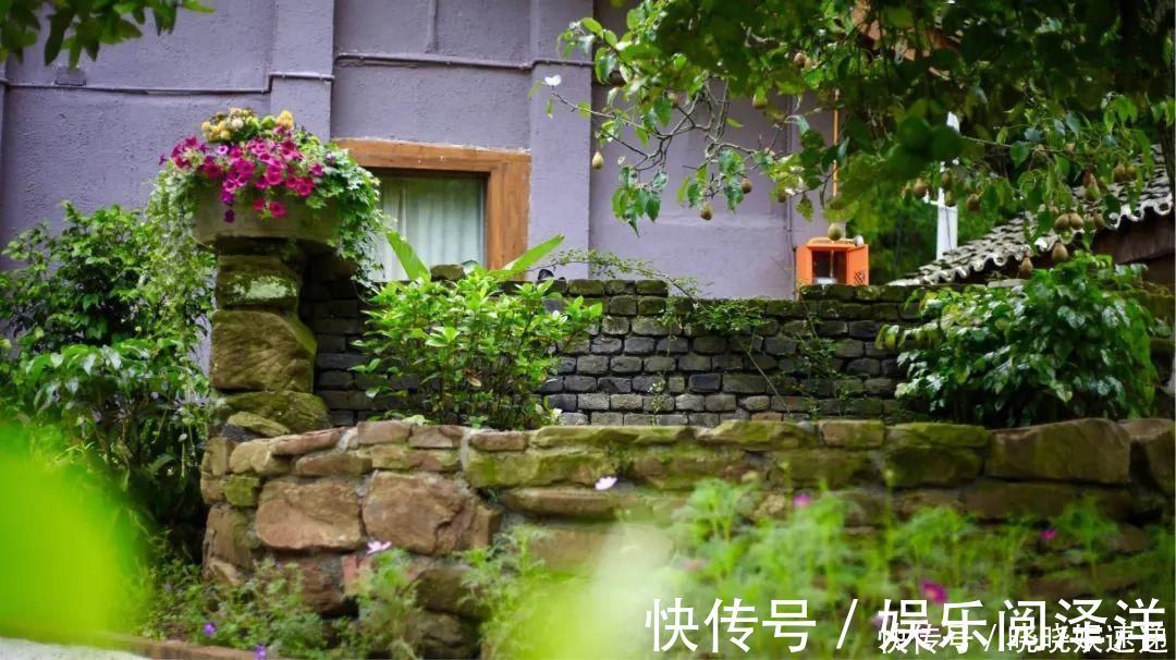 在乡下改造一个小院,种菜养花天天都是乡村田园梦,生活如此惬意