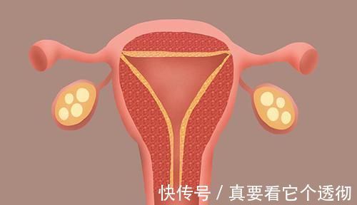 身材|雌性激素分泌正常的女性，会很满意身体的3个表现，对照下吧