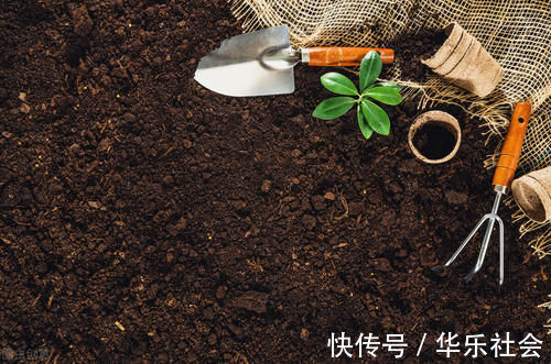 养好花离不开好的土壤，8种适合家庭养花的土壤，养花爆盆