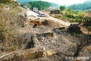 金龟慢:往事经年,历史有声。|这儿有个金龟小镇 | 往事