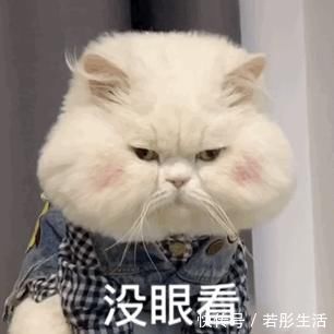 翅膀$抑郁小哥把一只2毛钱的千纸鹤折成了我买不起的样子,不但病好了还年入百万