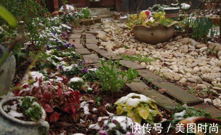 小院|荒废多年的80㎡小院，2年半时间打造成下沉式花园，太漂亮了！