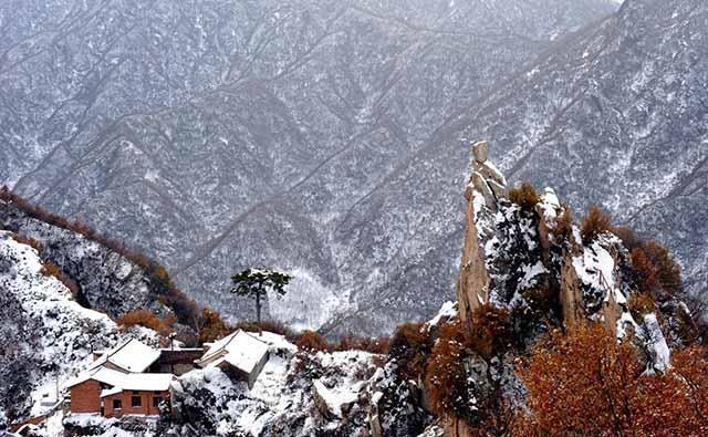 中年|终南山假道士越来越多,管理处涨租金也赶不走,这里迟早被毁掉
