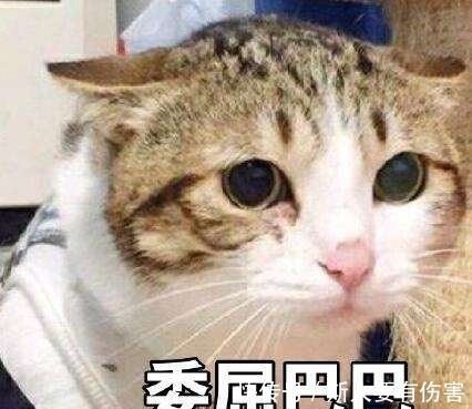 |十条笑话：不好意思亲到你了，不会怀孕吧！你加我微信！