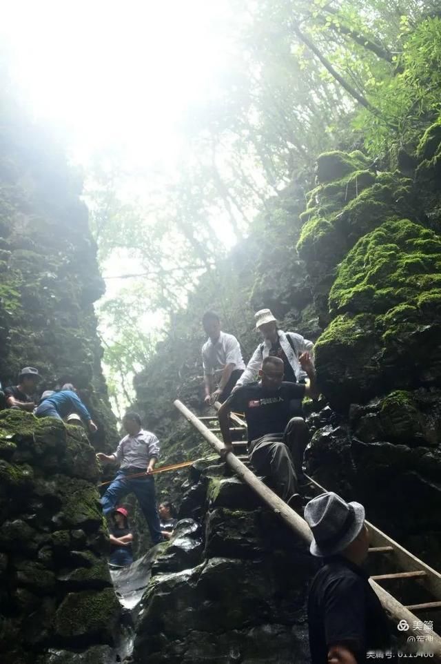 岩壁|探秘鬼斧神工的汉中“大屋基”地缝峡谷，秦巴深处的地质奇观