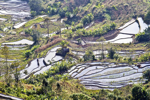 梯田|山势最险峻复杂、气势最恢宏壮观，大地雕塑最高典范，老虎嘴梯田