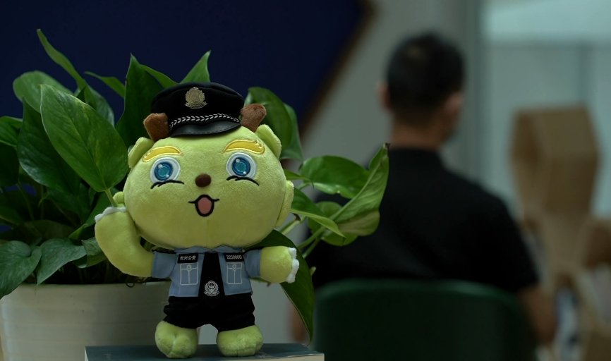 网购|长兴市民“白菜价”2400元网购了一颗白菜 这事真坑！