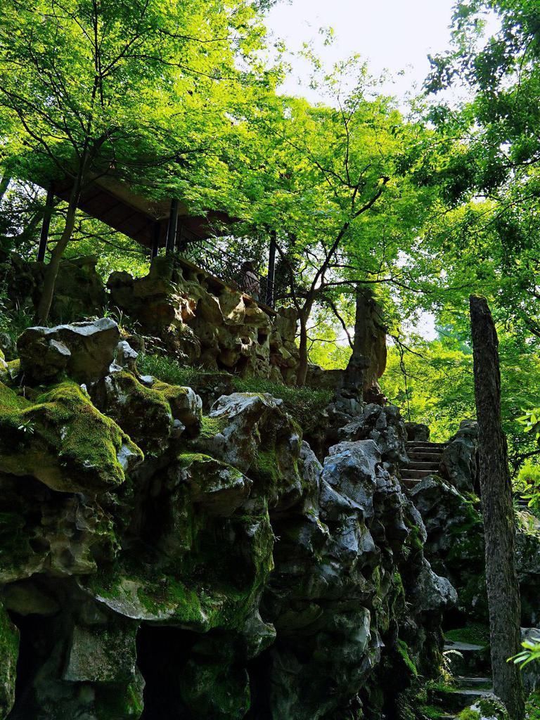 私家|因羡慕别人庄园，身家60亿首富用40年修建私家园林，惊艳世人