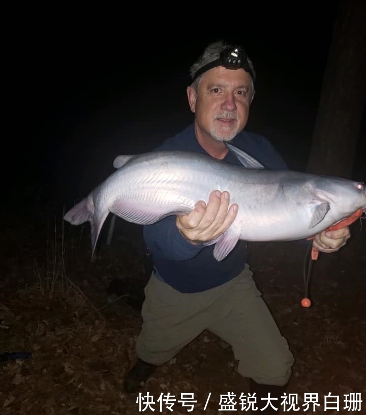 觅食|夜钓这10句口诀表一定要了解,让你钓得更爽