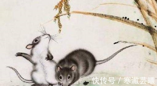 属兔|渡过难关,8月3生肖苦难已过,拥有满格的福气,进财稳健