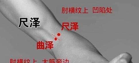  预防|我们身体上都自带着10个“长寿窝”，经常按一按，预防生病