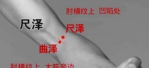 长寿|我们身体上都自带着10个“长寿窝”,经常按一按,预防生病