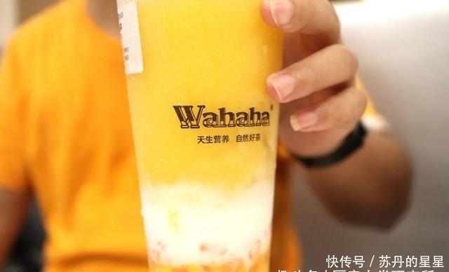 奶茶|我们笑着去了娃哈哈奶茶店,最后哭着回来了…