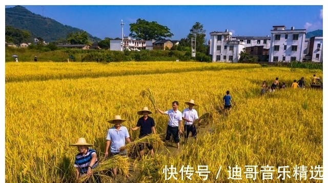 沙坊粉|够特色！连州乡村成功挑战“最大麻石磨”