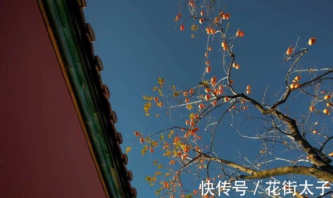 诗人$杜荀鹤很著名的一首诗,短短28字控诉社会黑暗,读来令人感愤